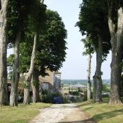 le-petit-logis-allee